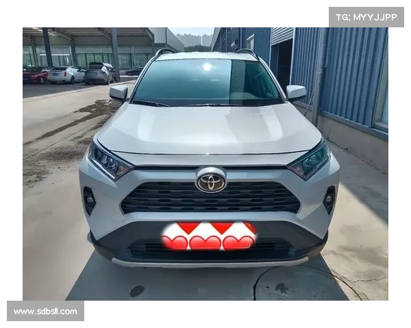 丰田RAV4荣放:月销超2W,2.0L动力,油耗6.41升,适合家用 丰田RAV4荣放:月销超2W,2.0L动力,油耗6.41升,适合家用